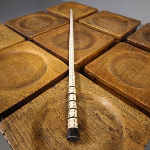 19Th Century Antique Shark Vertebrae Walking Stick 