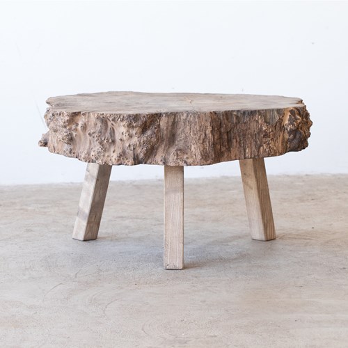 Naturalistic Elm Coffee Table