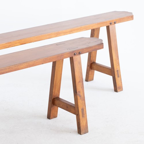French Elm Benches