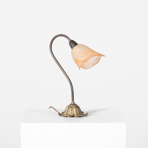 Brass Swan Neck Desk Lamp