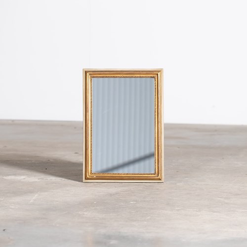 French Gilt & Painted Mirror