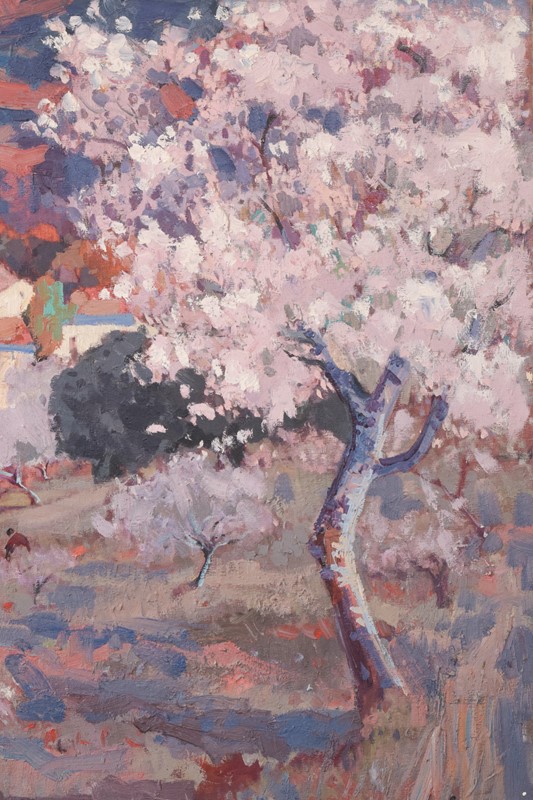 Josep Mas Pou - Almond Blossom Landscape-modern-decorative-1016-almond-blossomg-oil-6-main-637690411515310473.jpg