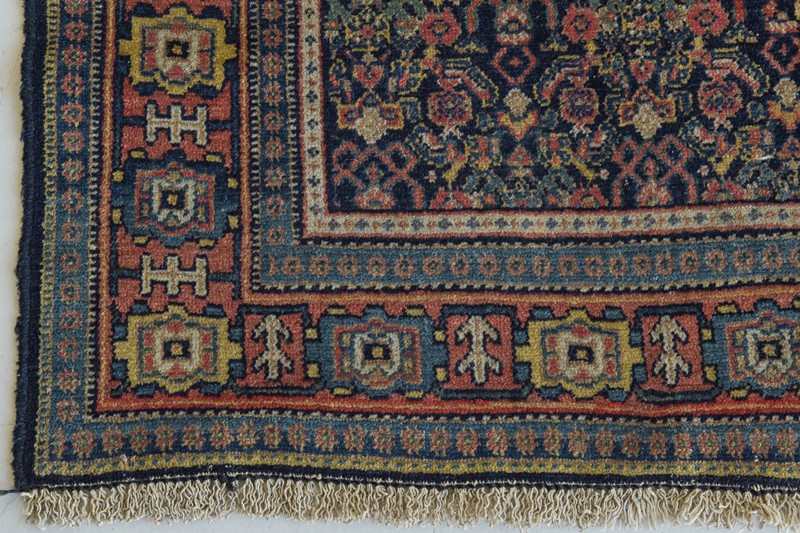 Handwoven Bidjar Tekab Rug-modern-decorative-1300-rug-7-main-637889185563411902.jpg