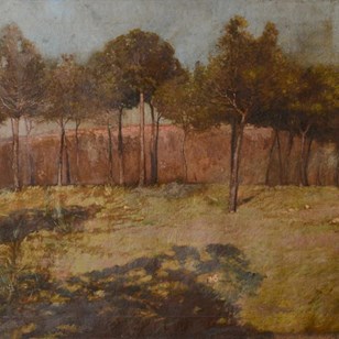 Golden Landscape With Distant Settl...