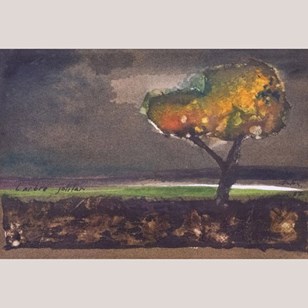 Solitary Tree Landscape-Catalan Exp...