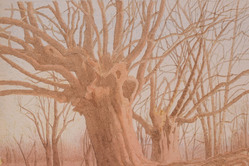 Reginald Morphew - 'Rooted to the Soil'-modern-decorative-43-watercolour-trees-1943-4-main-637837171577729558.jpg