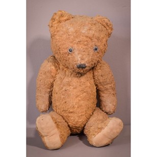 Teddy