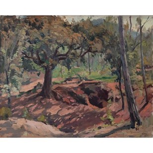 Large Oil Study Of Autumn And Light...