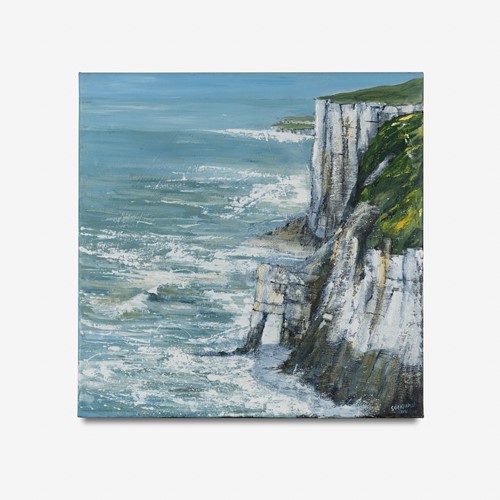 Sue Nichol - Bempton Cliffs