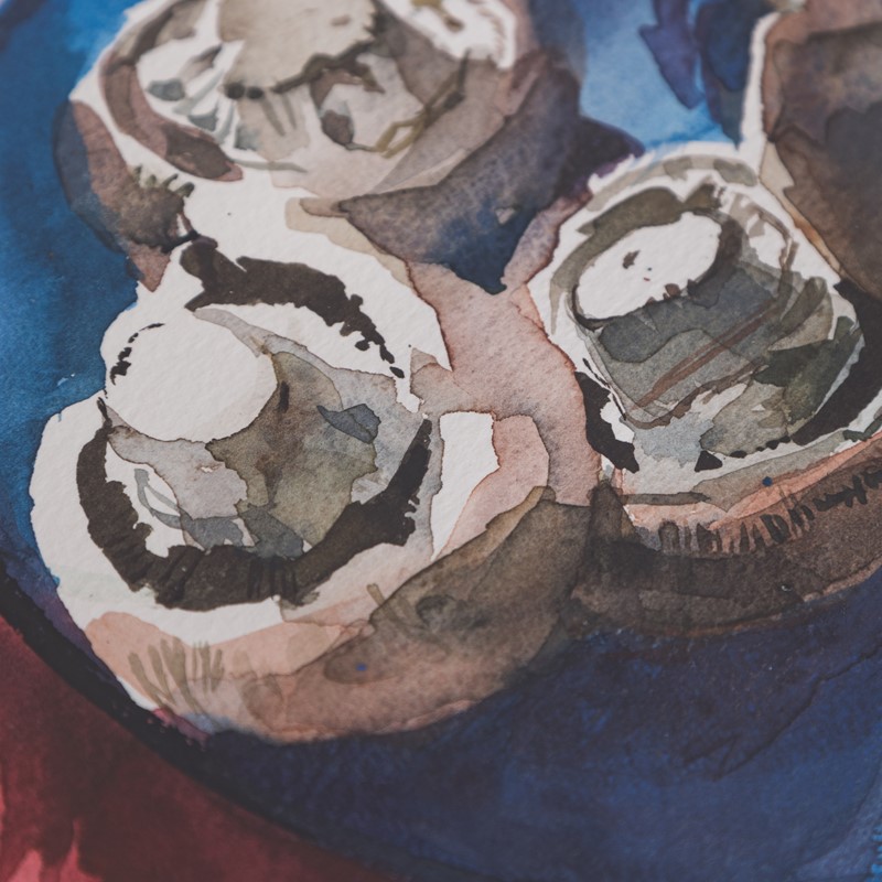 Stan Smith. Mushrooms on a blue plate. Watercolour-molly-maud-s-place-stan-smith2-main-637378288547343869.jpg