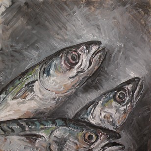 Oil Study Of Mackerel