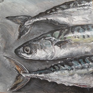 Oil Study Of Mackerel