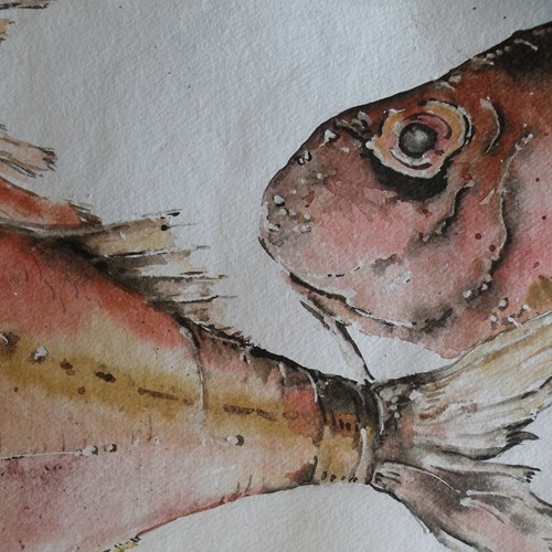 Red Mullet Patrol 