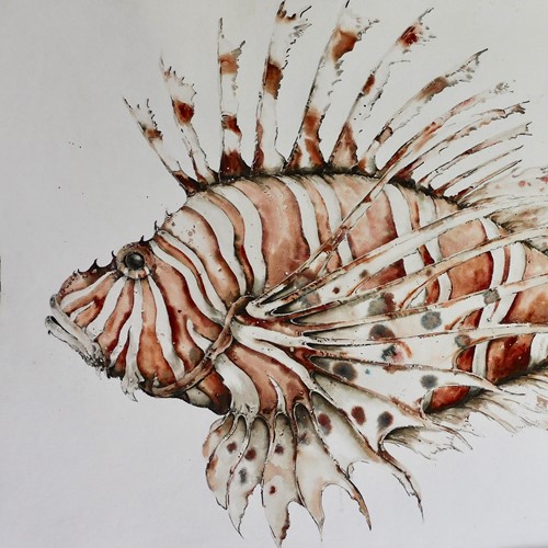 Huge Original Watercolour Painting Of A Lion Fish 