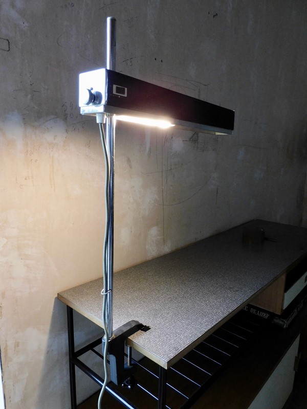  Desk Lamp By Etienne Fermingier -mountain-cow-dscn6835-main-637724800747081654.jpg