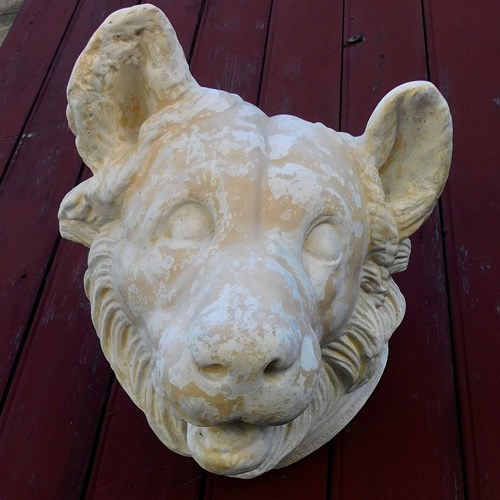 Antique Museum Plaster Cast Of A Dogs Head 