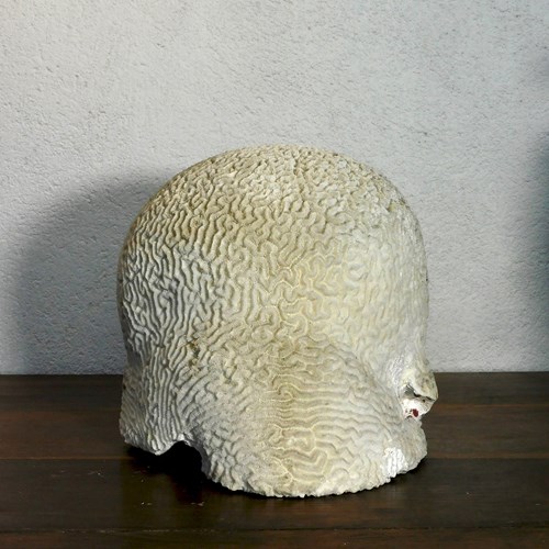 A Very Large Antique Specimen  Brain Coral 
