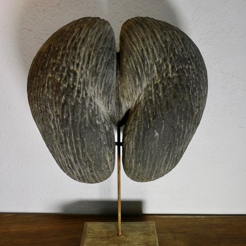 Coco De Mer 