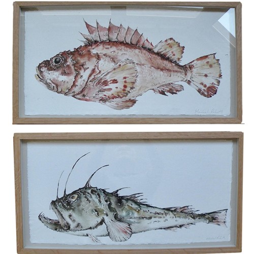 Pair Of Original Framed Fish Watercolours 