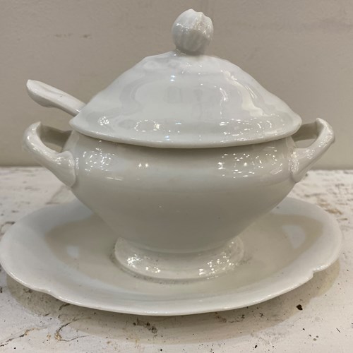 C1890 A Rare Flemish Creamware Ironstone Mustard Pot