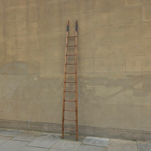 C1870 An English Elm Faux Bamboo Ladder