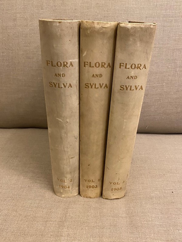 1903-5 3 Vellum Bound Volumes Of Flora & Sylva Books-nick-jones-img-5916-main-637974535155997066.jpeg
