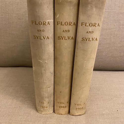 1903-5 3 Vellum Bound Volumes Of Flora & Sylva Books