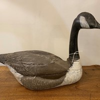 19th Century A Rare Wooden Decoy Canada Goose