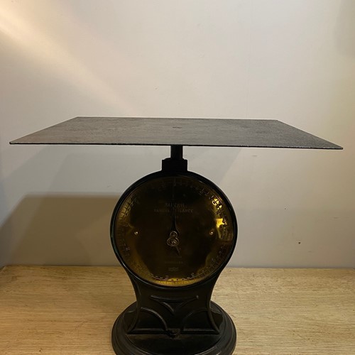 C1880 A Very Large Set of Salter Scales