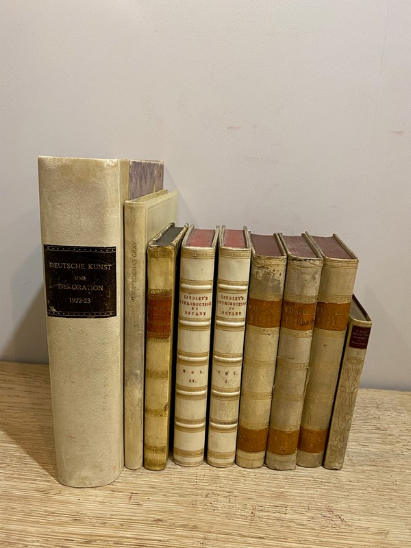 19th C - A Collection of 9 Decorative Vellum Books-nick-jones-img-9916-main-637752810315543369.jpeg