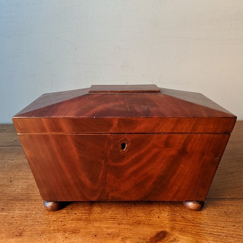 C1820 A Regency Mahogany Sarcophagus Tea Caddy