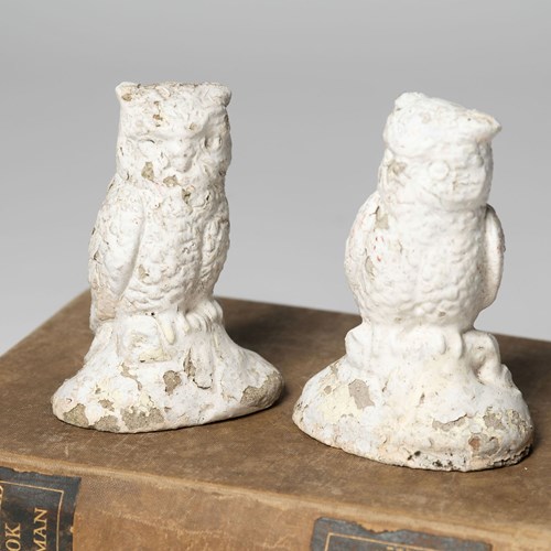Pair Of Small Owls 