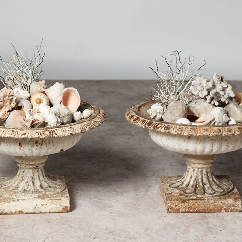 19Th Century Pair Of Urns