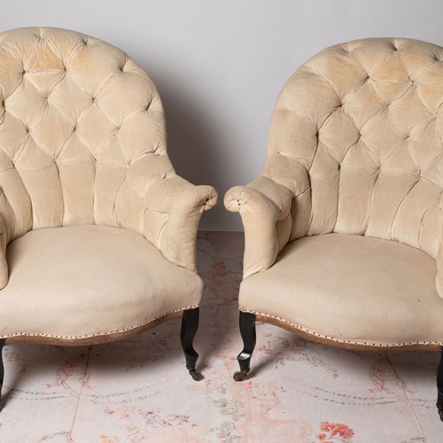 French Pair Of Chairs
