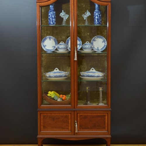 Shapland and Petter Edwardian Display Cabinet 