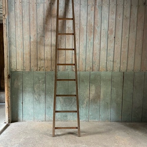 Domestic ‘Library’ Ladder