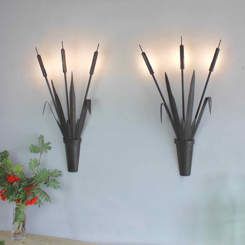 Large Pair Of Forged Iron Bullrush Sconces