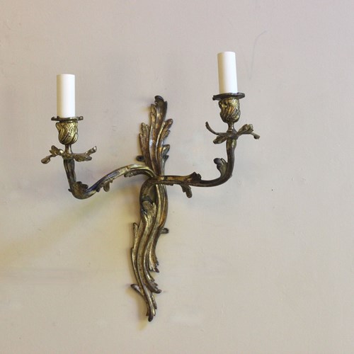 Twin Branch Gilded French Naturalistic Wall Light