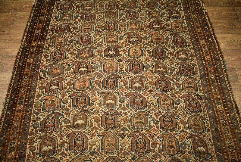 Antique Afshar Rug-oriental-rug-shop-068df060-ce3b-47dd-80d8-d0ec5ac51a6d-1-201-a-main-637427664985139798.jpeg