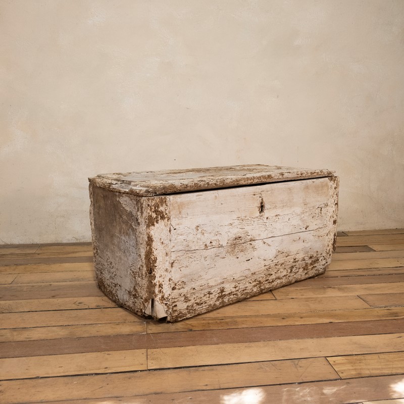 A 19th Century Rustic Country House Trunk -pappilon-dsc-2569-main-637678478895563696.jpg
