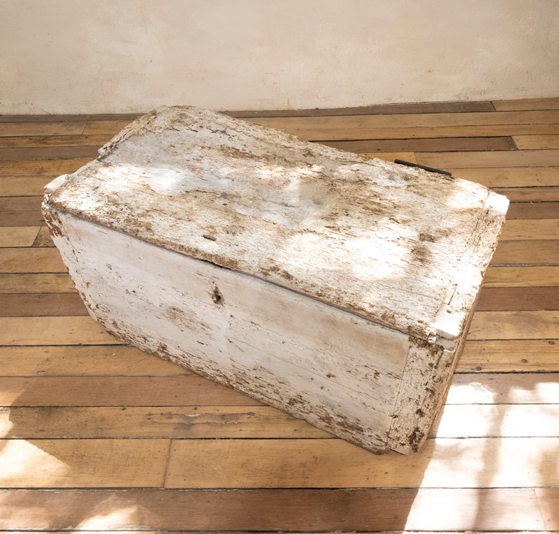 A 19th Century Rustic Country House Trunk -pappilon-dsc-2594-main-637678478805411074.jpg