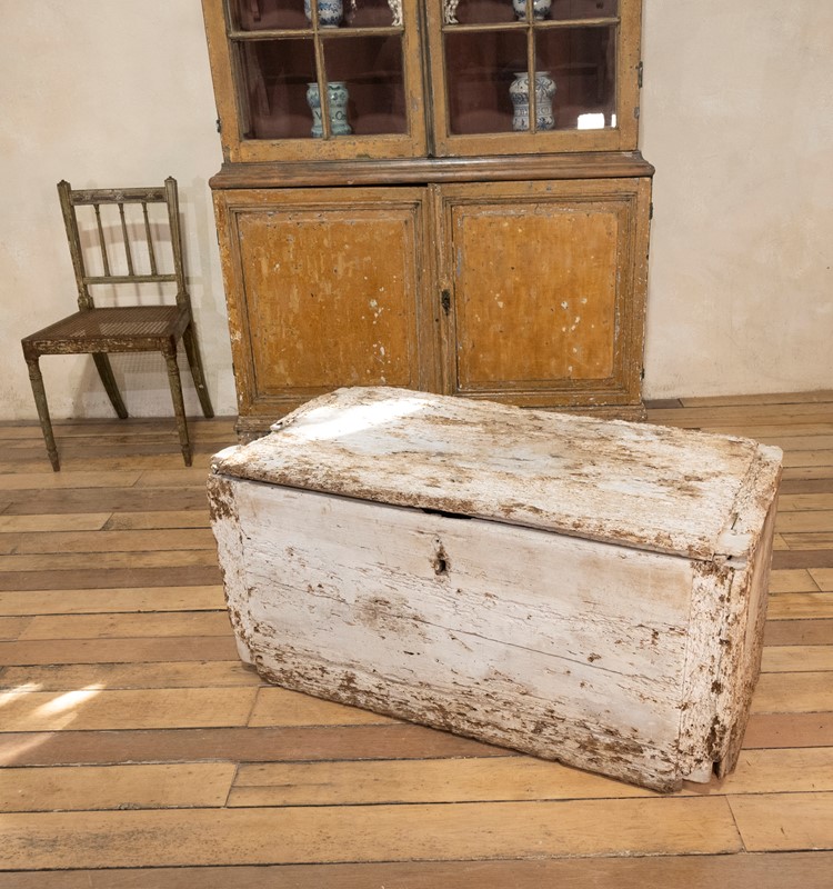 A 19th Century Rustic Country House Trunk -pappilon-dsc-2625-main-637678478784313790.jpg