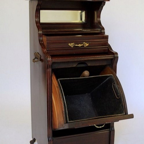 Edwardian Mahogany Coal Purdonium
