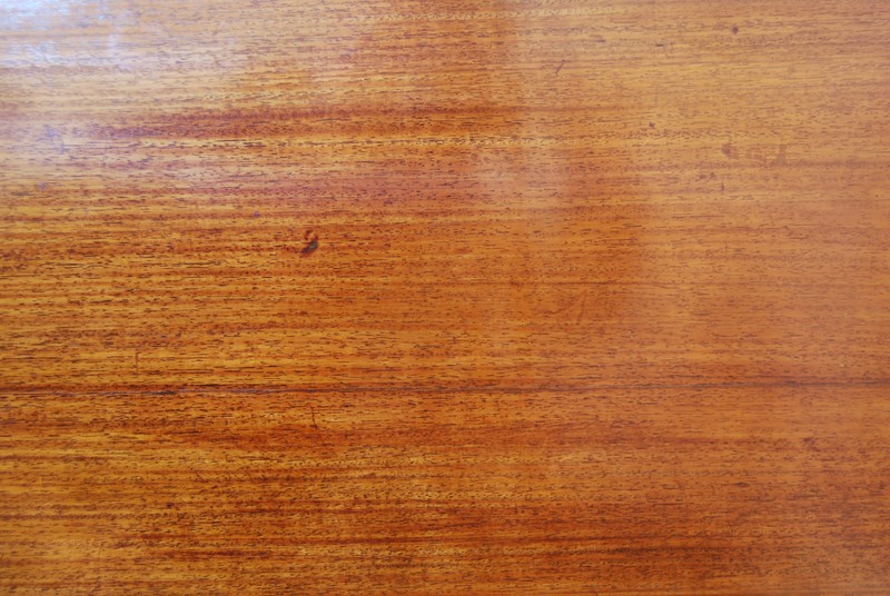 Regency Rosewood Sofa Table-payne-co-dsc-0049-main-637780458839717282.JPG