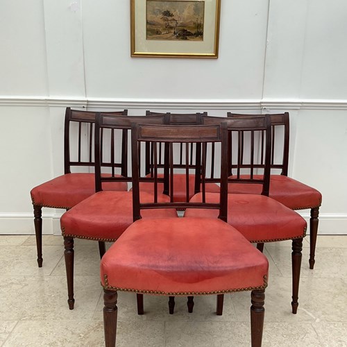 A Good Set Of Six Sheraton Dining Chairs