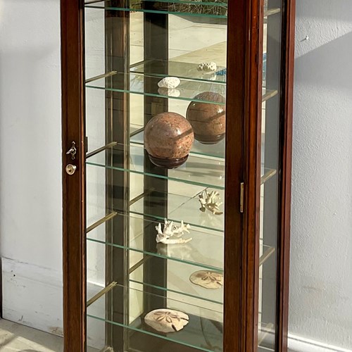 Edwardian Walnut Display Case