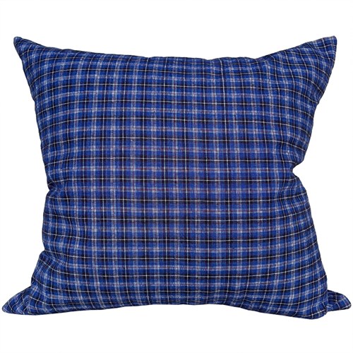 Large Blue Checked Cushions