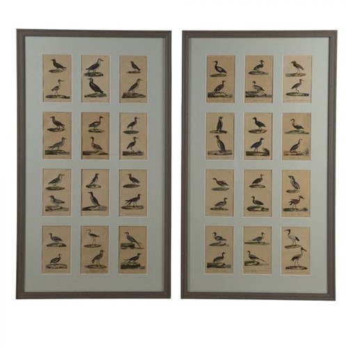 Pair of Multi Aperture Framed Bird Lithographs