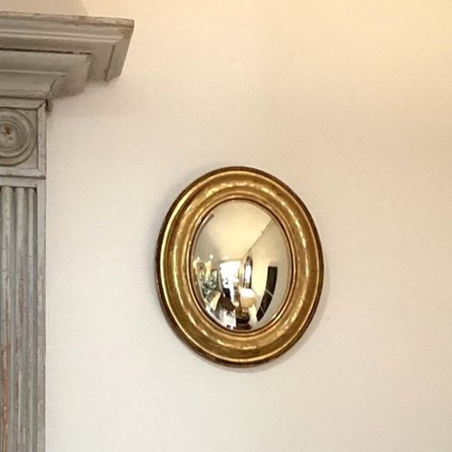 Oval Fish Eye Convex Mirror