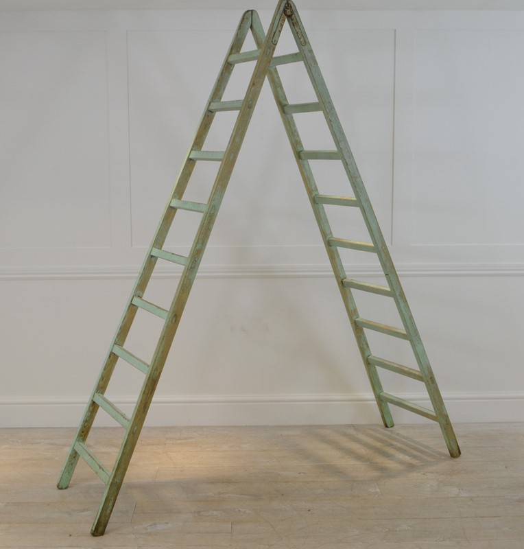 Original Painted Ladders-phoenix-antiques-dsc-0008-main-637784483171560729.JPG